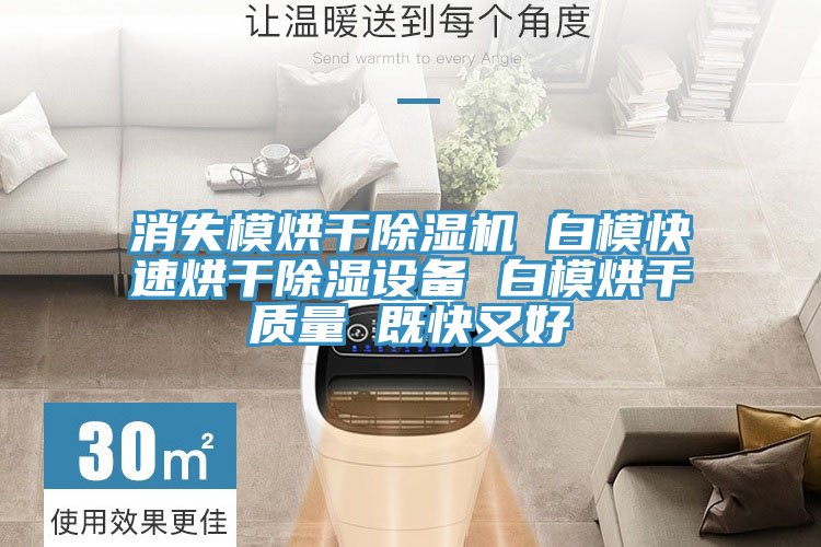 消失模烘干除湿机 白模快速烘干除湿设备 白模烘干质量 既快又好