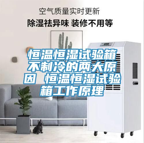 恒温恒湿试验箱不制冷的两大原因 恒温恒湿试验箱工作原理