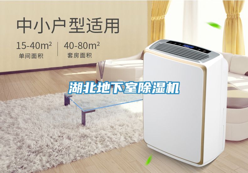 湖北地下室除湿机