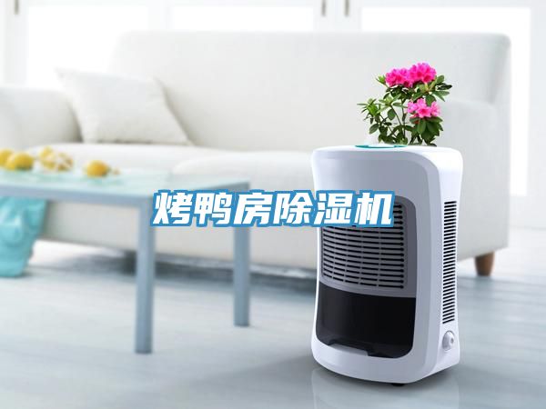 烤鸭房除湿机