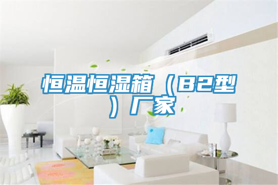 恒温恒湿箱（B2型）厂家