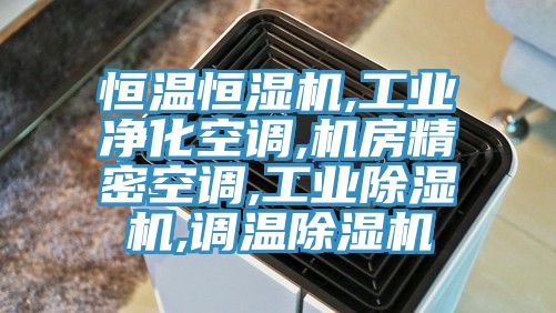 恒温恒湿机,工业净化空调,机房精密空调,工业除湿机,调温除湿机