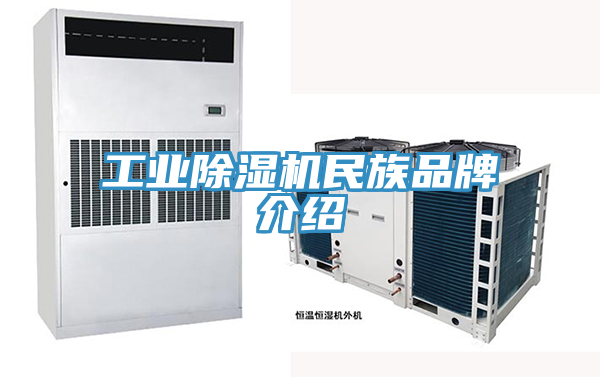 工业除湿机民族品牌介绍