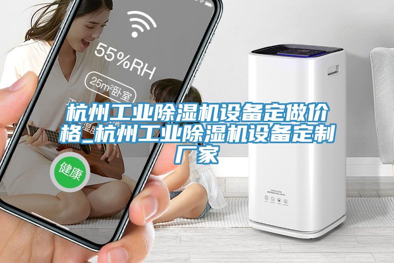 杭州工业除湿机设备定做价格_杭州工业除湿机设备定制厂家