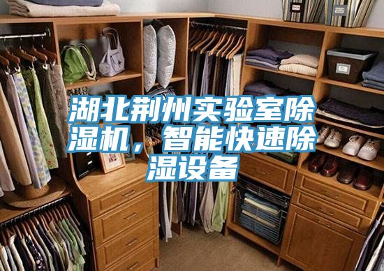 湖北荆州实验室除湿机，智能快速除湿设备