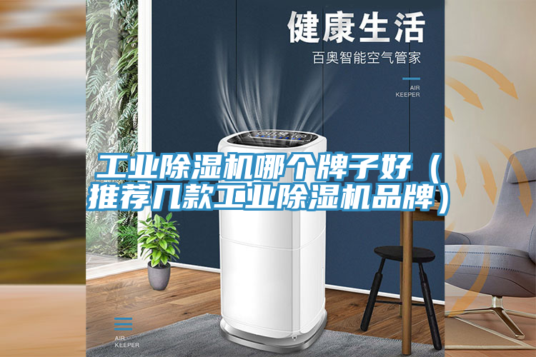 工业除湿机哪个牌子好（推荐几款工业除湿机品牌）