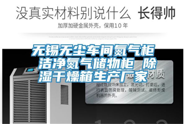 无锡无尘车间氮气柜 洁净氮气储物柜 除湿干燥箱生产厂家