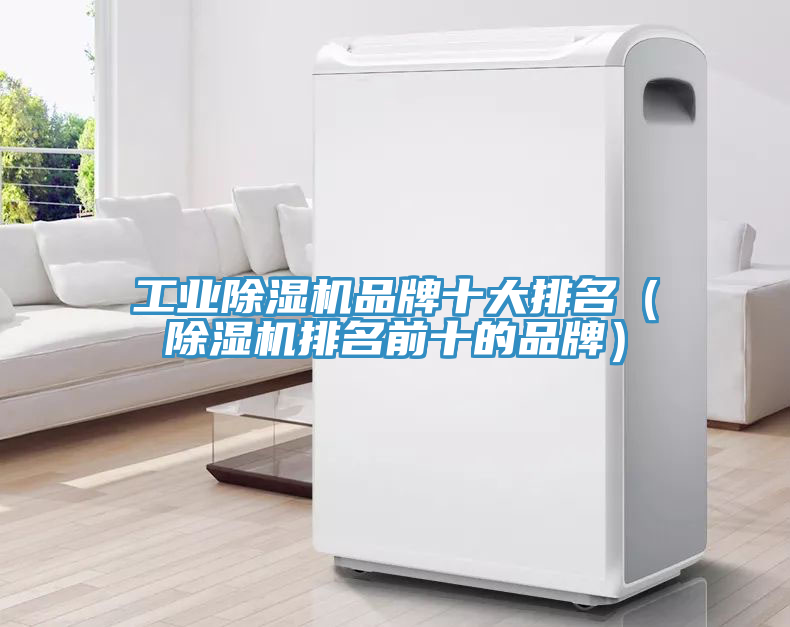 工业除湿机品牌十大排名（除湿机排名前十的品牌）