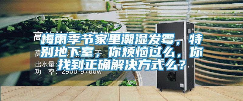 梅雨季节家里潮湿发霉，特别地下室，你烦恼过么，你找到正确解决方式么？
