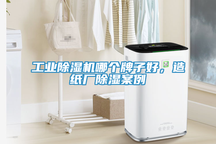 工业除湿机哪个牌子好，造纸厂除湿案例