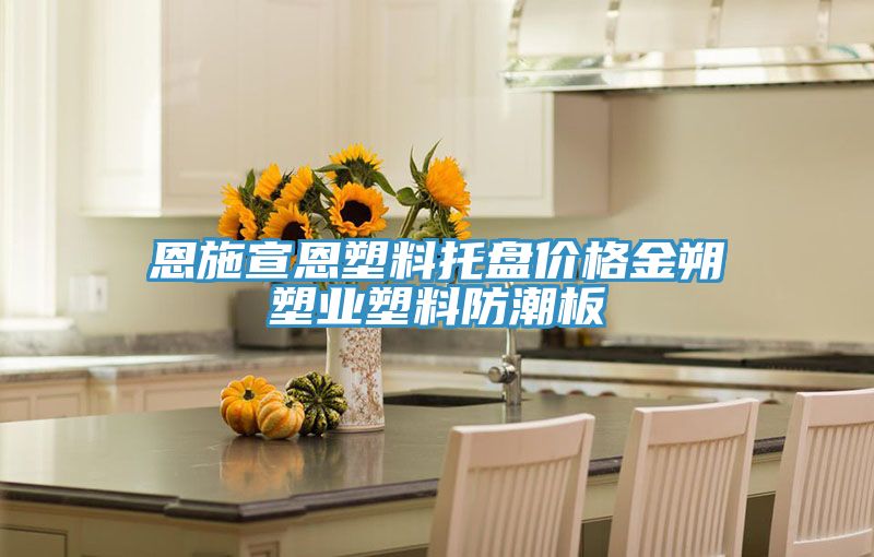 恩施宣恩塑料托盘价格金朔塑业塑料防潮板