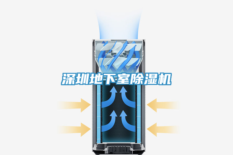 深圳地下室除湿机