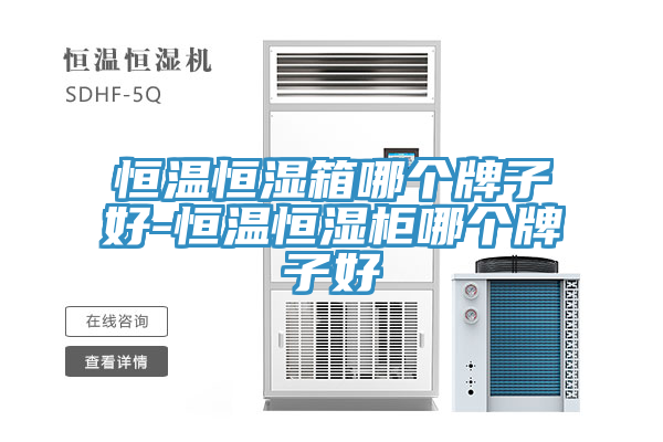 恒温恒湿箱哪个牌子好-恒温恒湿柜哪个牌子好