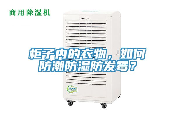 柜子内的衣物，如何防潮防湿防发霉？