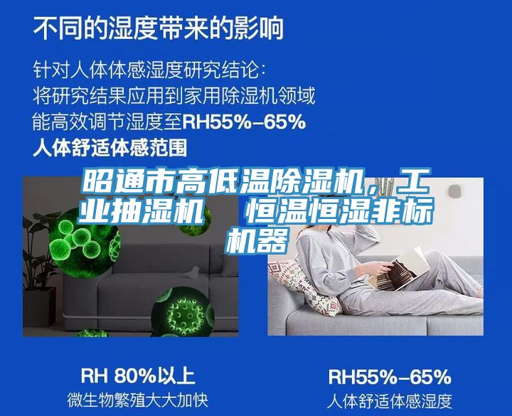 昭通市高低温除湿机，工业抽湿机  恒温恒湿非标机器