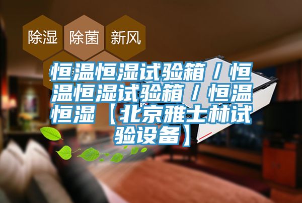 恒温恒湿试验箱／恒温恒湿试验箱／恒温恒湿【北京雅士林试验设备】