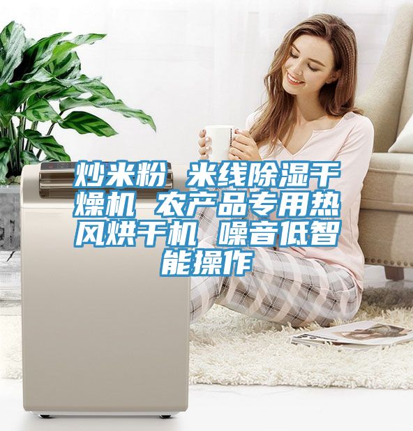炒米粉 米线除湿干燥机 农产品专用热风烘干机 噪音低智能操作