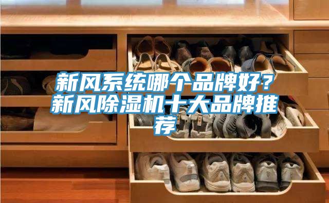 新风系统哪个品牌好？新风除湿机十大品牌推荐