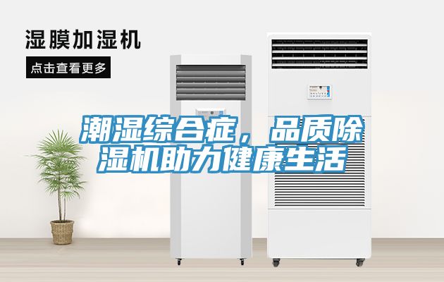 潮湿综合症，品质除湿机助力健康生活