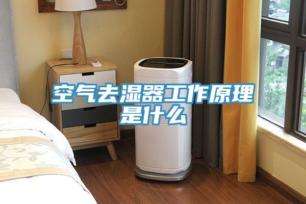 空气去湿器工作原理是什么