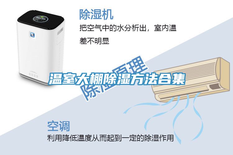 温室大棚除湿方法合集