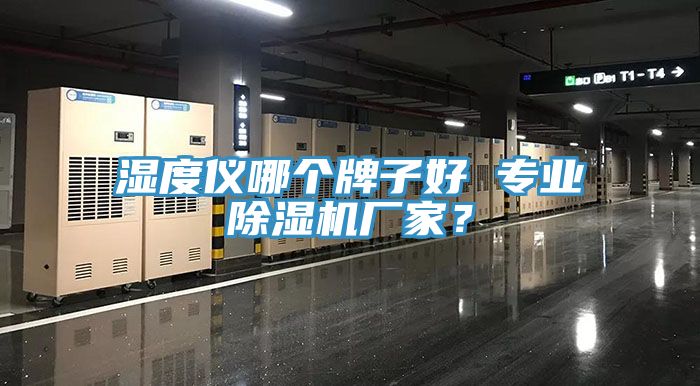 湿度仪哪个牌子好 专业除湿机厂家？