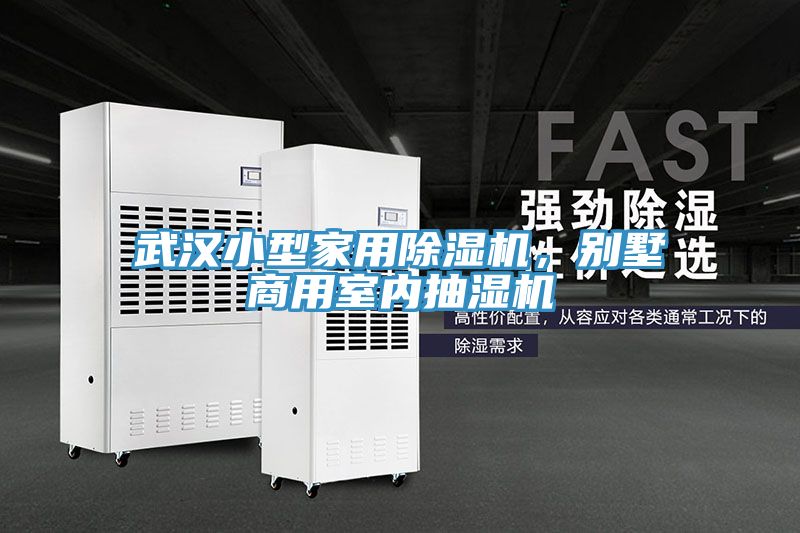 武汉小型家用除湿机，别墅商用室内抽湿机