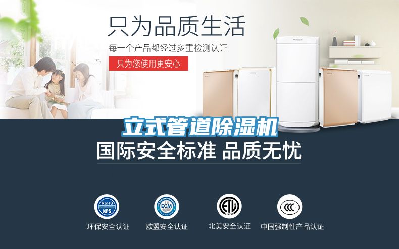 立式管道除湿机