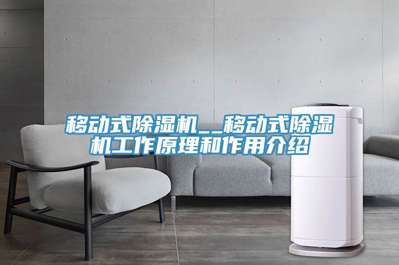 移动式除湿机__移动式除湿机工作原理和作用介绍