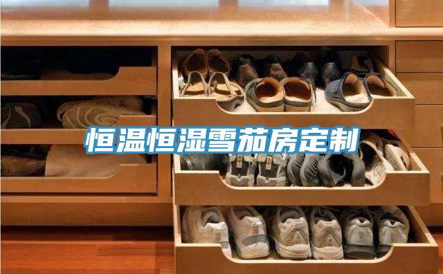 恒温恒湿雪茄房定制