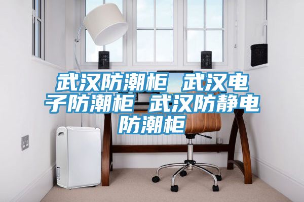 武汉防潮柜 武汉电子防潮柜 武汉防静电防潮柜