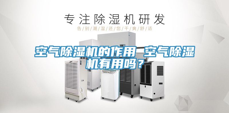 空气除湿机的作用 空气除湿机有用吗？