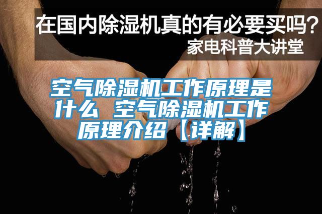 空气除湿机工作原理是什么 空气除湿机工作原理介绍【详解】