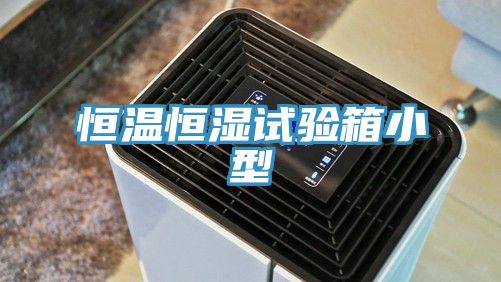 恒温恒湿试验箱小型