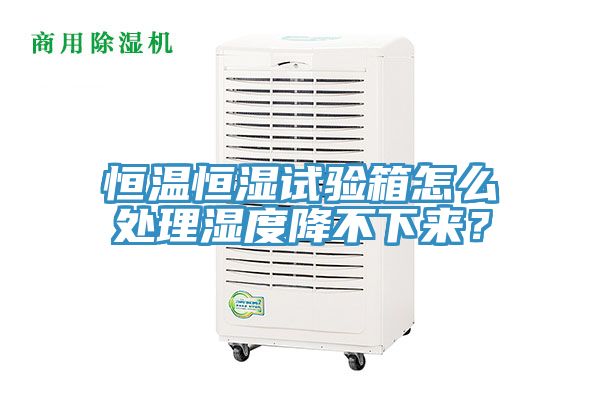 恒温恒湿试验箱怎么处理湿度降不下来？