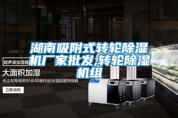 湖南吸附式转轮除湿机厂家批发,转轮除湿机组
