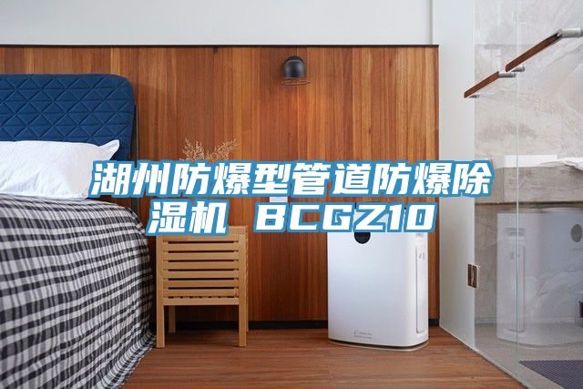 湖州防爆型管道防爆除湿机 BCGZ10