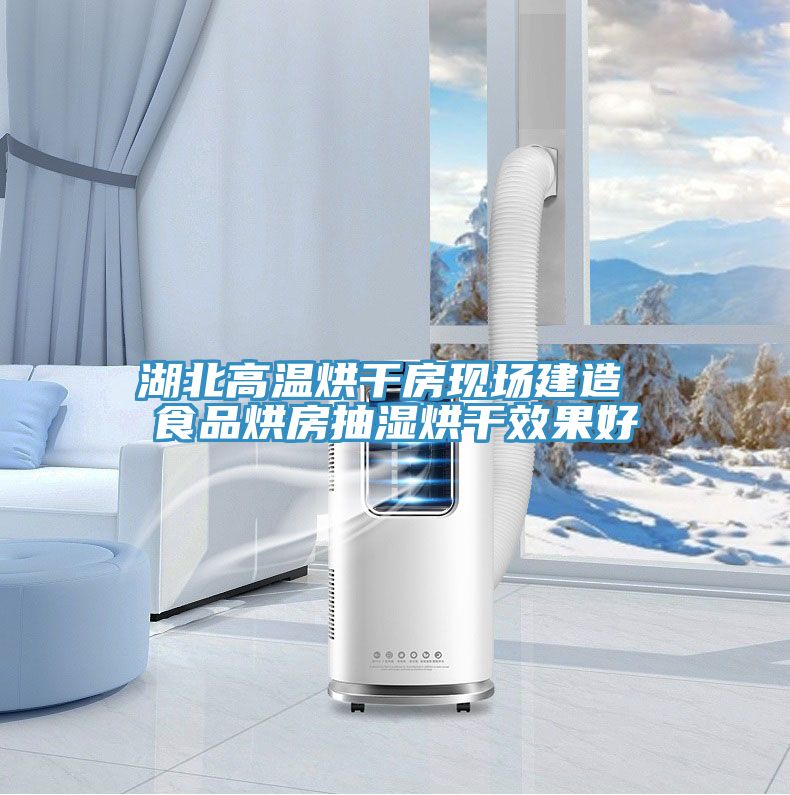 湖北高温烘干房现场建造 食品烘房抽湿烘干效果好