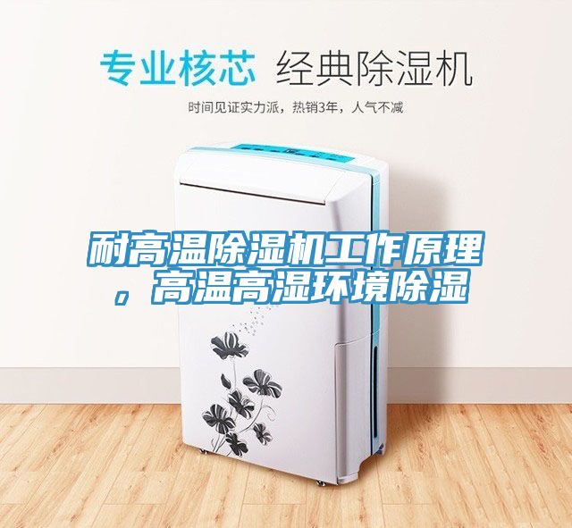 耐高温除湿机工作原理，高温高湿环境除湿