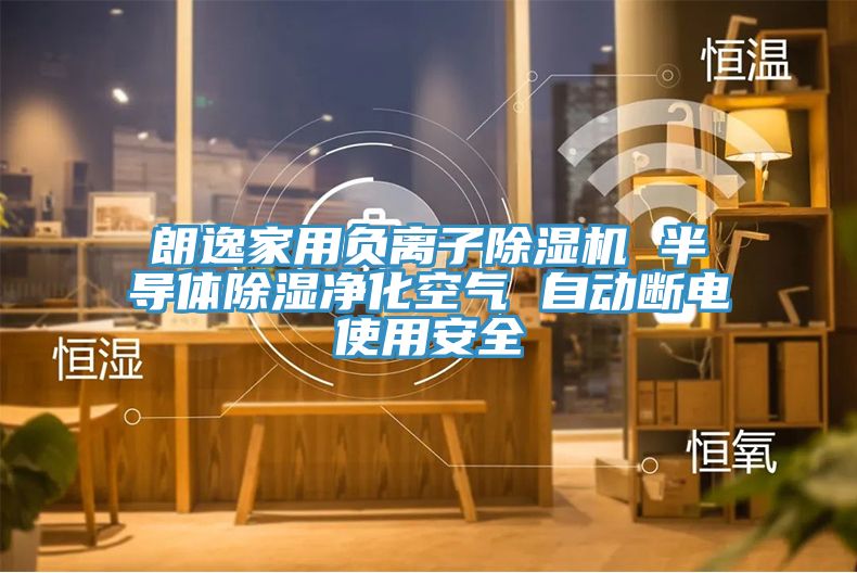 朗逸家用负离子除湿机 半导体除湿净化空气 自动断电使用安全