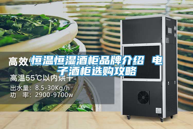 恒温恒湿酒柜品牌介绍 电子酒柜选购攻略