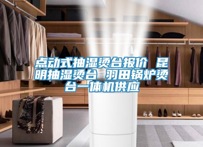 点动式抽湿烫台报价 昆明抽湿烫台 羽田锅炉烫台一体机供应