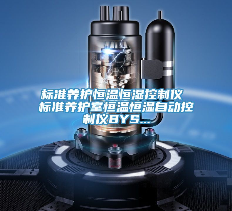 标准养护恒温恒湿控制仪 标准养护室恒温恒湿自动控制仪BYS...