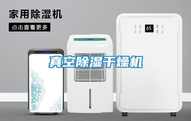 真空除湿干燥机