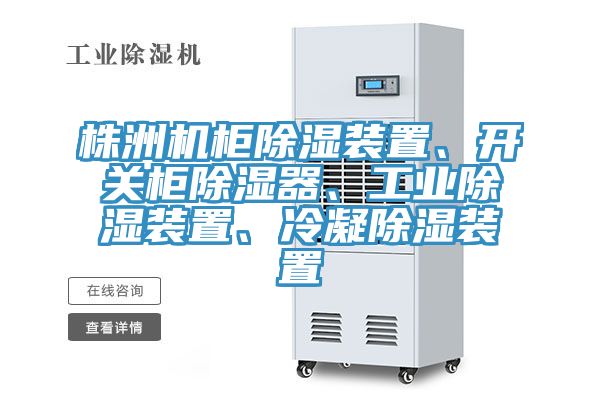 株洲机柜除湿装置、开关柜除湿器、工业除湿装置、冷凝除湿装置