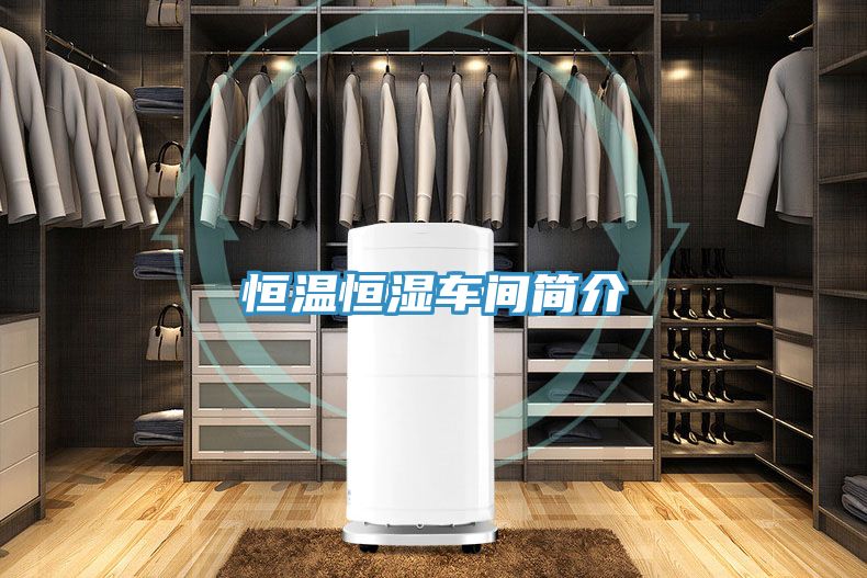 恒温恒湿车间简介