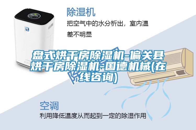 盘式烘干房除湿机-偏关县烘干房除湿机-国德机械(在线咨询)