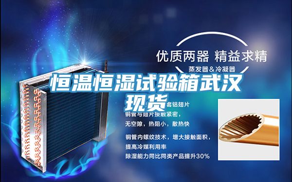 恒温恒湿试验箱武汉现货