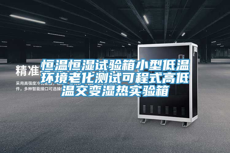 恒温恒湿试验箱小型低温环境老化测试可程式高低温交变湿热实验箱