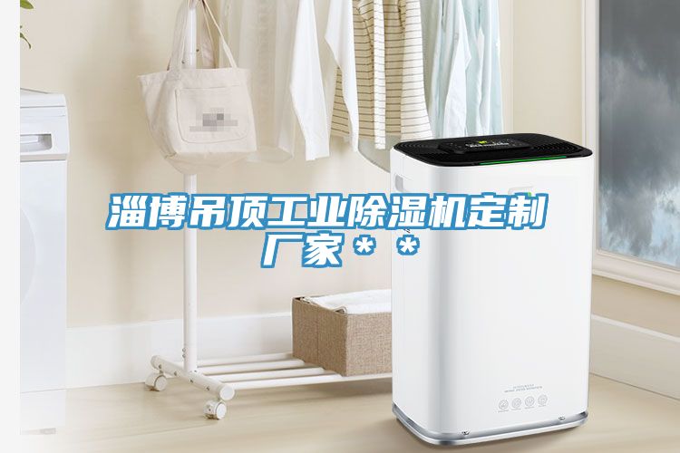 淄博吊顶工业除湿机定制 厂家＊＊